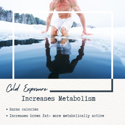 Cold exposure increases metabolism
