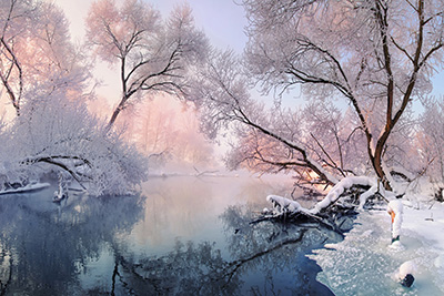 Winter Detox in Bloomington: IV Drips, Sauna & Foot Bath